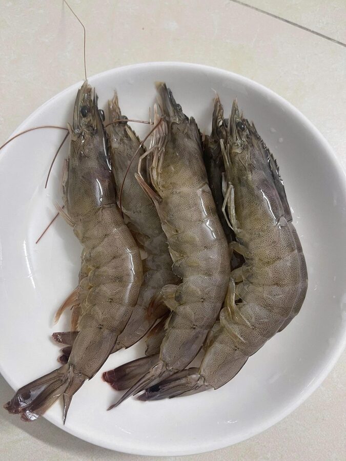 Tôm nớt tươi